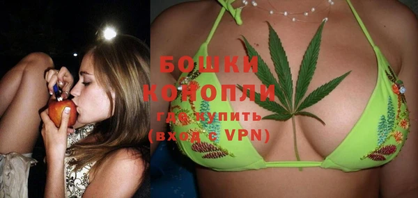 гашик Аркадак