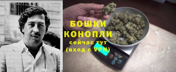 бошки Горняк
