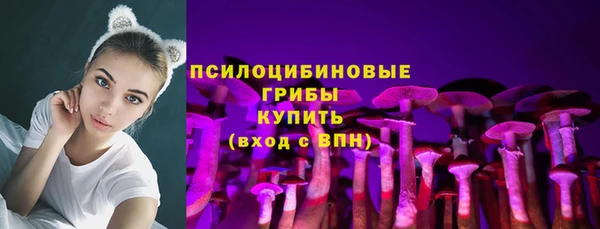 тгк Армянск