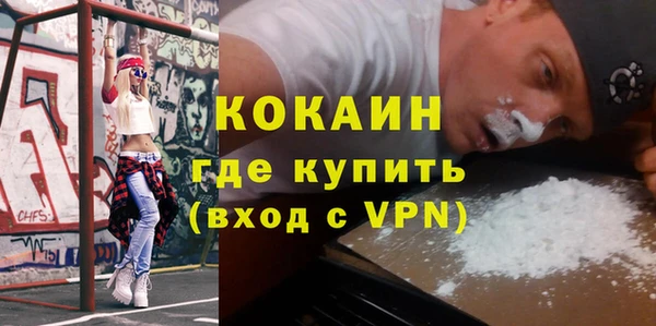 гашик Аркадак