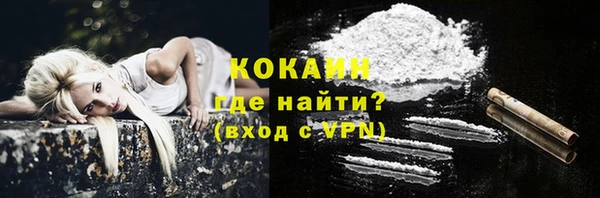 бошки Горняк