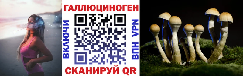 MEGA сайт  Малгобек  Галлюциногенные грибы мицелий  закладки 